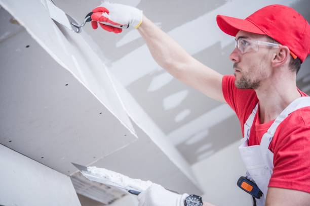 Best Water-Damaged Drywall Repair  in USA